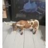 Image 7 :  Collection Of Framed Animal Art Prints And Several Small Animal Figurines , Wild Life Decorative