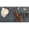 Image 9 : Coral and Fossil Fragments