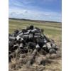 Image 1 : Large amount of firewood 