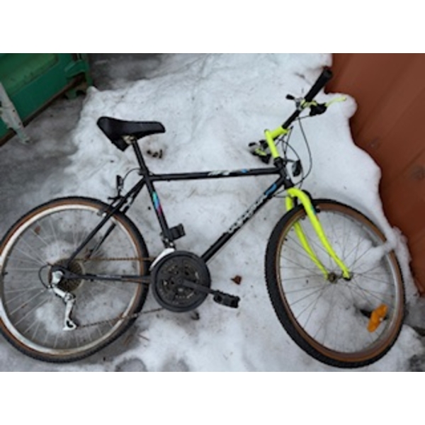 Vintage Bike - Voyageur