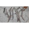 Image 3 : Rusted Metal Harness Components and General Pipe Type Tool Cylinder