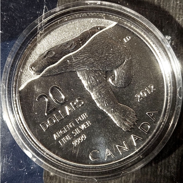 2012 $20 for $20 Polar Bear - 99.9% Fine Silver Coin (With Sleeve) - #1