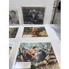 Image 2 : Collection of Stills from Tarzan