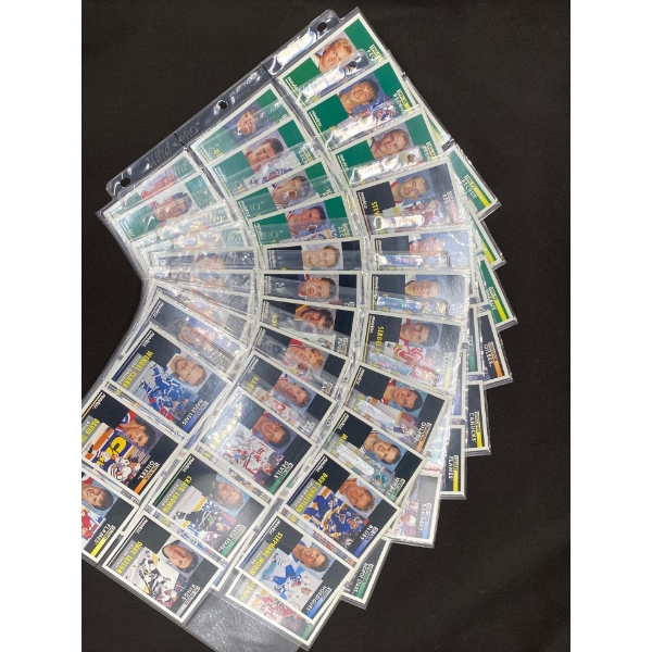 10 Pages of 1991 - 92 Pinnacle Hocky Cards