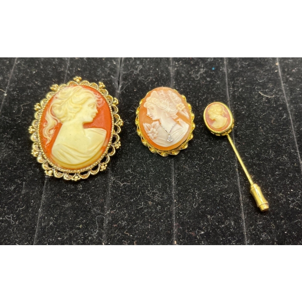 Two Cameo Brooches and Hat Pin