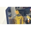 Image 3 : Custom Made Barbies from Saudi Arabia in Display Case