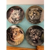 Image 5 : Plate Collection Records of The Cubs of the Great Cats Plate Collection, The first series of collect