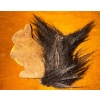 Image 2 : Antique Steif Jointed Growling Teddy Bear / Squirell Sidekick