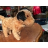 Image 4 : Farnell Alpha stuffed antique Dog made in England