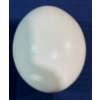Image 2 : Ostrich Egg 6H (hollow) 