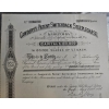 Image 2 : Historical Share Certificate For Cawdery's Patent Switchback Steeplechase Limited, Dated Dec 9, 1896