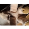 Image 8 : - Vintage Steiff Elephant 12 W Trunk to Tail, 7 T, With Tag