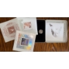 Image 3 : Canadian Coin Sets Featuring Various Denominations - Bluenose Schooner Coat Of Arms