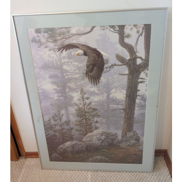 Limited Edition Framed Print Titled Shrouded Forest - Bald eagle By Daniel Smith 28x38