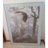 Image 1 : Limited Edition Framed Print Titled Shrouded Forest - Bald eagle By Daniel Smith 28x38