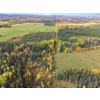 Image 3 : 108 ACRES | FARM • RECREATION • INVESTMENT Located in Clearwater County Alberta