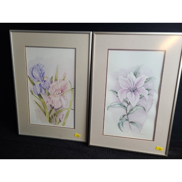 Iris and Lilly Paintings, Artist: J. Cupido, Framed Under Glass, 11 X 16