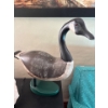 Image 3 : 2 Wooden Ducks & Large Salt Lamp 