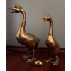 Image 1 : Large Brass Goose Family, Largest is 14W, 20T 