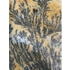 Image 3 : Large Fern Fossil