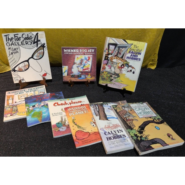 Far Side and Calvin and Hobbes Books in Good Condition