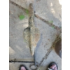 Image 6 : Cast Iron Collection - Boat Anchors Luckey Horse Shoes w/ Kettle 