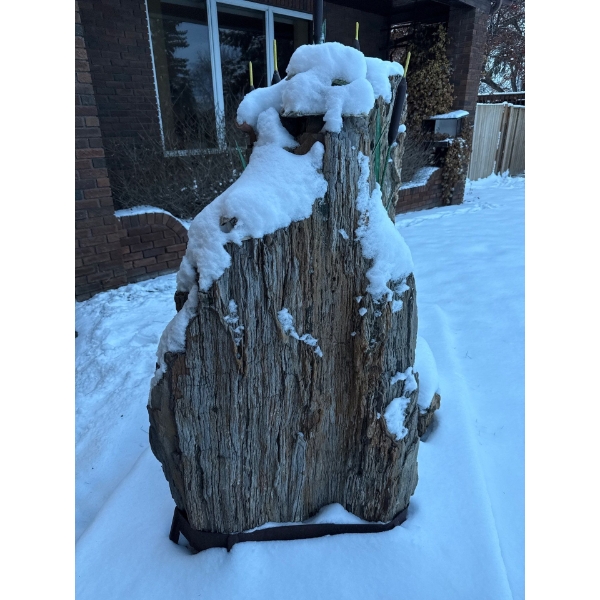 Petrified Rock 5Ft Tall
