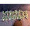 Image 7 : Holiday Decor Lot With Wreaths, Candle, Flower Frog, and More