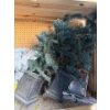Image 3 : Outdoor Decorative Trees (2), Pots & More !