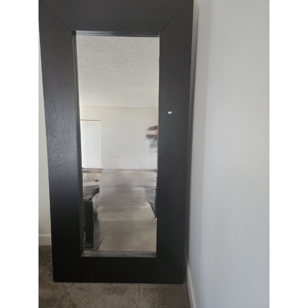 Large Floor Mirror w/ Wide Frame 37 X 75 