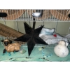 Image 3 : Decorative Wall Plates, Metal Star, and Figurines