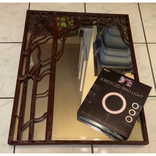 Decorative Mirror & 8" LED Ring Light  13x18"tall