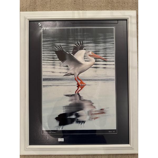 Jackson Lake Pelican Blain 18.5  x 22.5