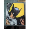 Image 2 : Books: Batman, Nature & Politics