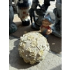 Image 9 : Yard Garden Decor Collection, As Pictured 