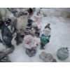 Image 4 : Outdoor Garden Statues Incudes: Angels, Dogs, Frogs and More!
