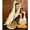 Image 4 : Vintage Bisque Porcelain Figurines 4T - Geese w/ Couple Dining