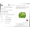 Image 3 : 16.61 ct Certified Himalayan Peridot Gemstone ($12,458 Appraisal)