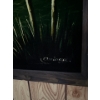 Image 3 : Black Velvet Beach Scene, Illegible Signature, 40x27 