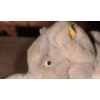 Image 2 : - Vintage Steiff Elephant 12 W Trunk to Tail, 7 T, With Tag