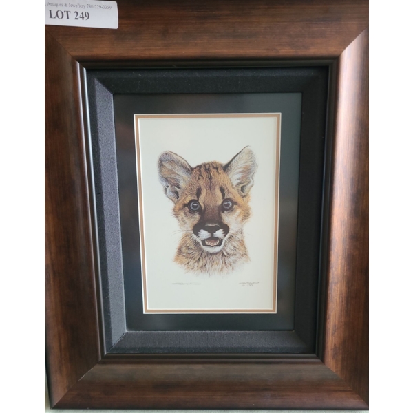 Cougar Cub Study by Carl Brenders Print 16 1/2 w 19 h