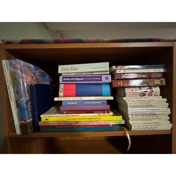 Harry Potter , Pinocchio & Peter Rabbit to Name a few . number of Other kids Books  