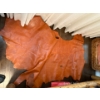 Image 1 : Leather Hide
