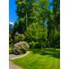Image 47 : Discover the perfect blend of peaceful country living and convenience on this stunning 10+ acres