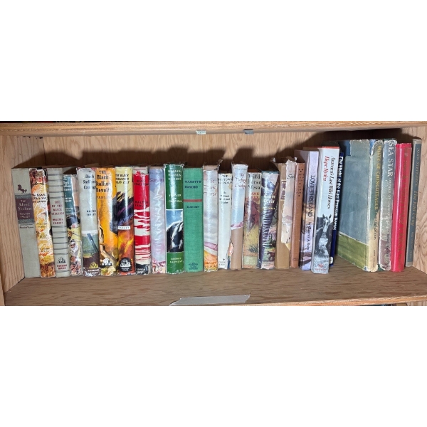Collection Of Books