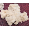 Image 12 : Coral and Fossil Fragments