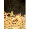 Image 4 : BELUCHI Made in Belgium, Man Made Silk Rug 160x230cm w/ Long Entry Way Rug 
