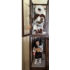 Image 1 : Decorative Dolls in Cases - Ashton Drake Desert Star Doll & Georgetown Collection Inuit Doll (16T)
