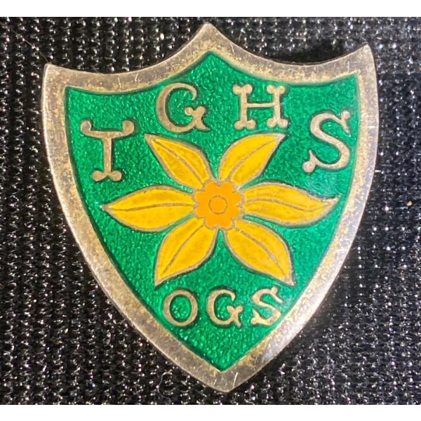 Vintage Enamel Shield Pin