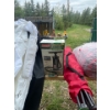 Image 3 : Camp chairs, Foldable shelter, Dual Action Coleman Quickpump and more